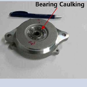 Bearing Assy Caulking1